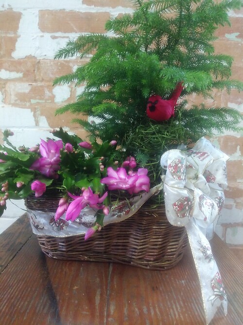 A Winter Basket